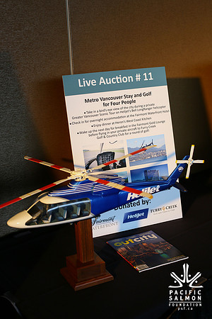AUCTION-LIVE-ITEMS-PSF-Photos by Ron Sombilon-34 - LOGO