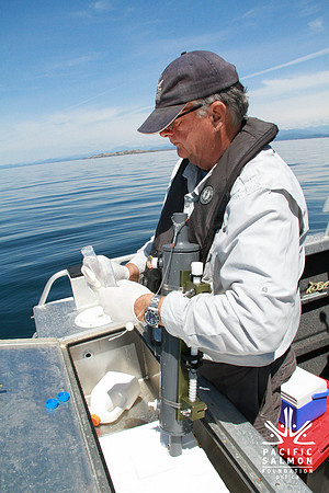 Salish Sea Marine Survival Project-10 - LOGO