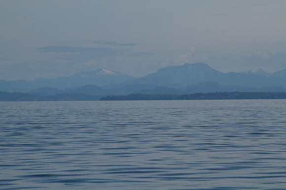 Salish Sea Marine Survival Project-25