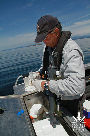 Salish Sea Marine Survival Project-11 - LOGO
