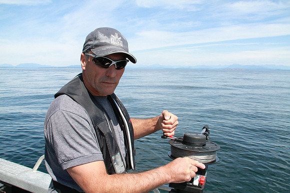 Salish Sea Marine Survival Project-89