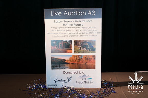 3 AUCTION ITEMS - PSF-SOMBILON PHOTOGRAPHY-43 - LOGO
