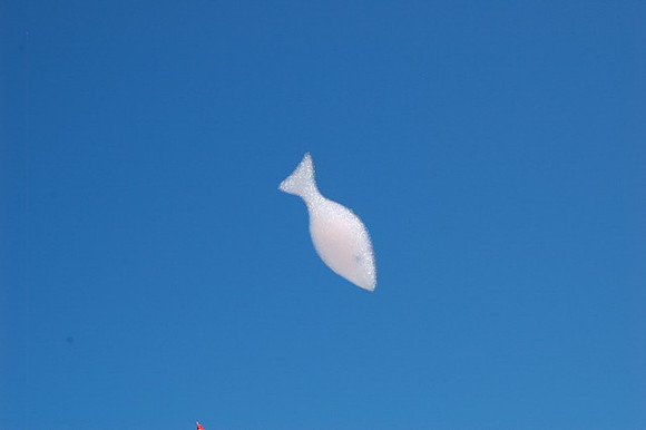 2011 Pink Salmon Festival-130