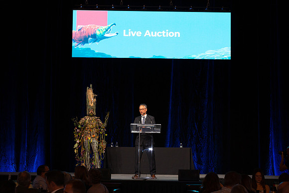 3-D+L-PSF GALA 2022-71