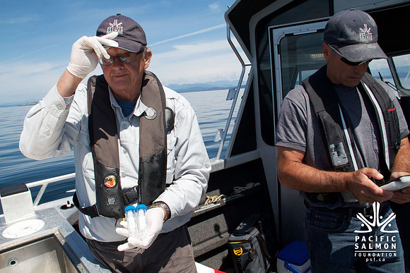 Salish Sea Marine Survival Project-3 - LOGO