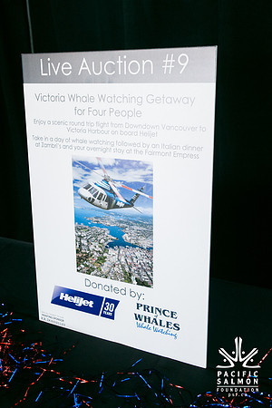 3 AUCTION ITEMS - PSF-SOMBILON PHOTOGRAPHY-22 - LOGO
