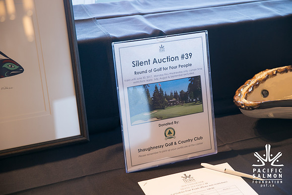 3 AUCTION ITEMS - PSF-SOMBILON PHOTOGRAPHY-195 - LOGO