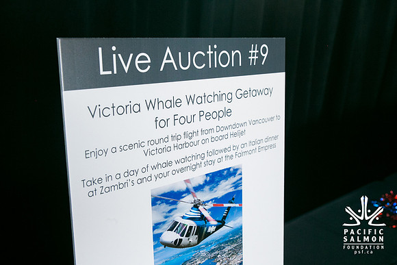 3 AUCTION ITEMS - PSF-SOMBILON PHOTOGRAPHY-24 - LOGO