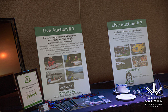 1 SILENT-LIVE AUCTION- PSF GALA 2014- Sombilon Photography-22 - LOGO