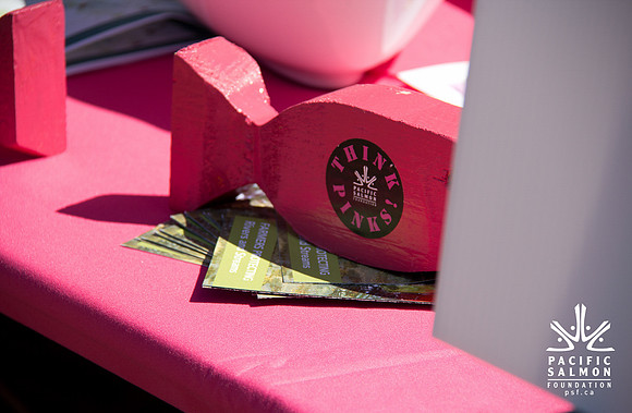 2013 Pink Salmon Festival-37 - LOGO