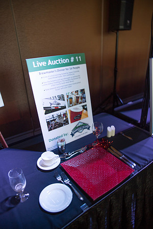1 SILENT-LIVE AUCTION- PSF GALA 2014- Sombilon Photography-35