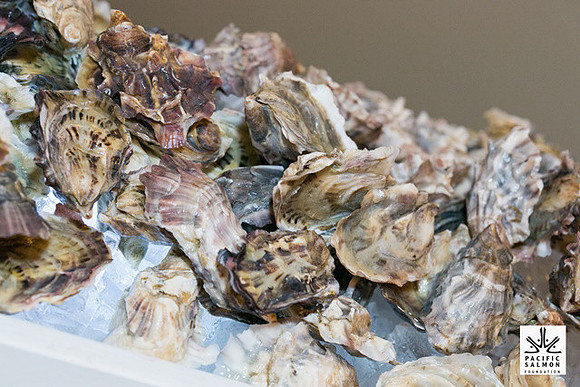 2015 South Vancouver Island Salmon Gala178