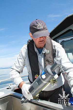 Salish Sea Marine Survival Project-7 - LOGO