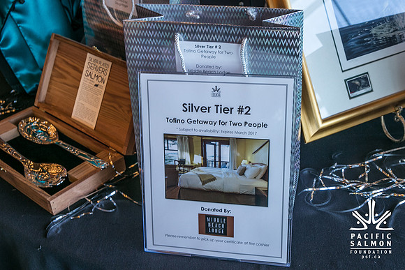3 AUCTION ITEMS - PSF-SOMBILON PHOTOGRAPHY-220 - LOGO
