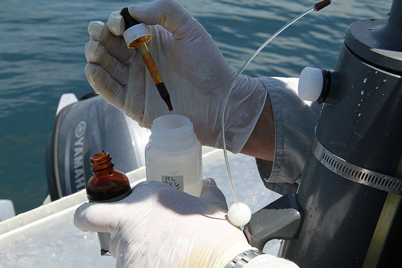 Salish Sea Marine Survival Project-67