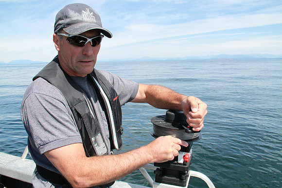 Salish Sea Marine Survival Project-88