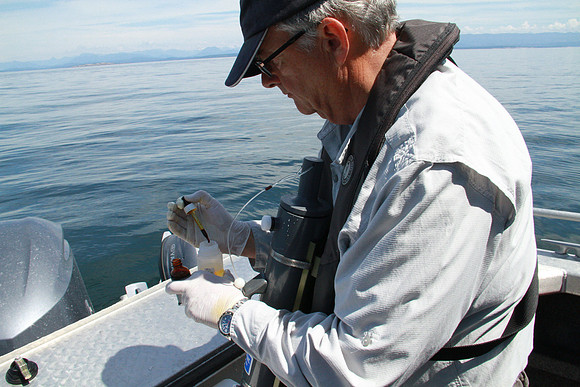 Salish Sea Marine Survival Project-62