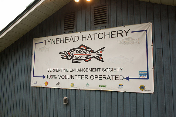 PSF - TYNEHEAD HATCHERY - MP Ken Hardie-3