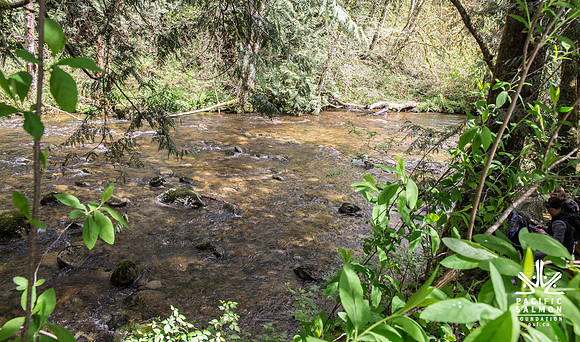 5-KANAKA CREEK- PSF