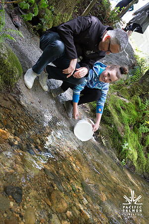 5-KANAKA CREEK- PSF-3