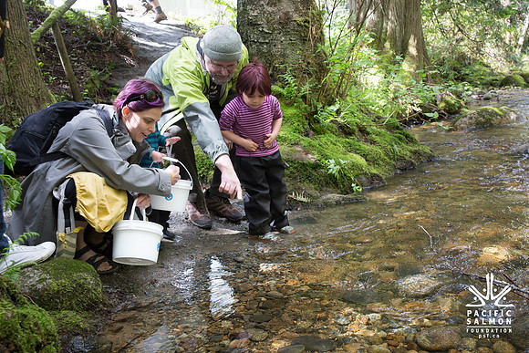 5-KANAKA CREEK- PSF-10