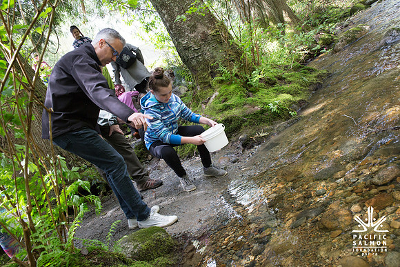 5-KANAKA CREEK- PSF-9