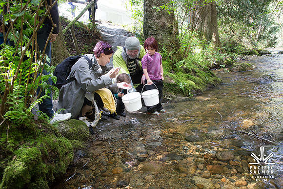 5-KANAKA CREEK- PSF-12