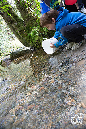 5-KANAKA CREEK- PSF-15