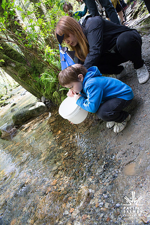 5-KANAKA CREEK- PSF-19