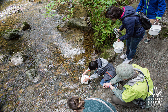 5-KANAKA CREEK- PSF-22