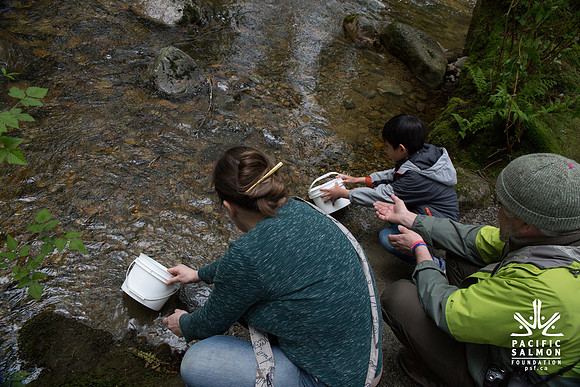 5-KANAKA CREEK- PSF-24