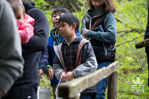 5-KANAKA CREEK- PSF-33