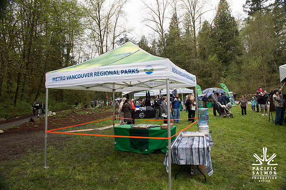 4-KANAKA CREEK- PSF-38