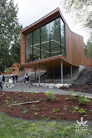 4-KANAKA CREEK- PSF-40