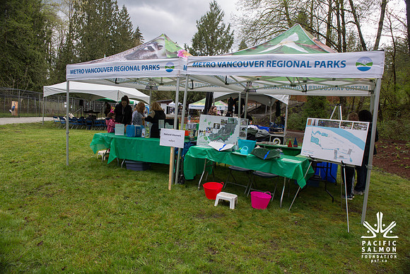 4-KANAKA CREEK- PSF-56