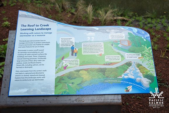 4-KANAKA CREEK- PSF-59
