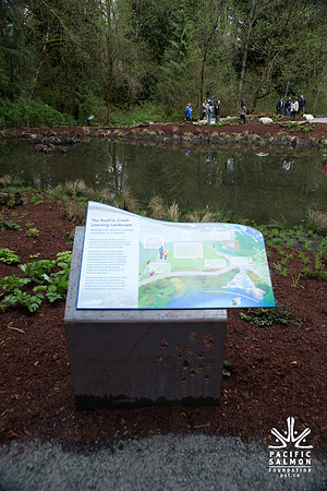 4-KANAKA CREEK- PSF-60