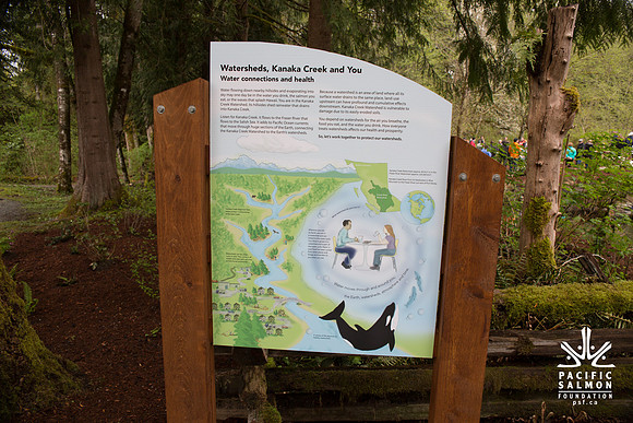 4-KANAKA CREEK- PSF-63