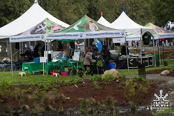 4-KANAKA CREEK- PSF-65