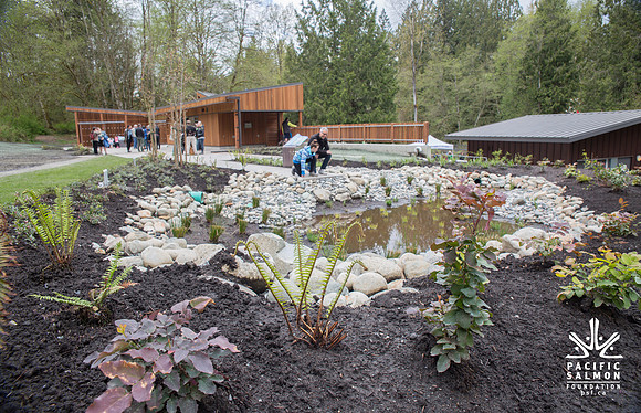 3-KANAKA CREEK- PSF-3