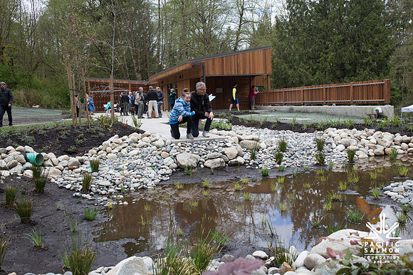 3-KANAKA CREEK- PSF-4