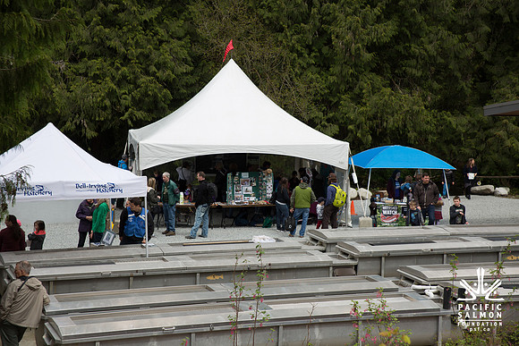 2-KANAKA CREEK- PSF