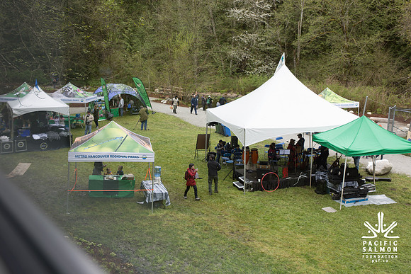 2-KANAKA CREEK- PSF-2