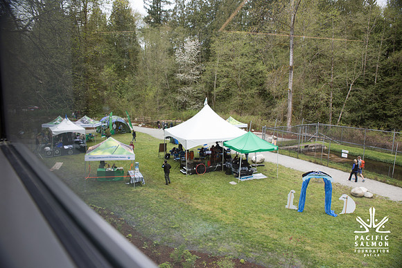 2-KANAKA CREEK- PSF-3