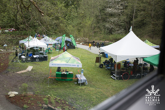 2-KANAKA CREEK- PSF-4