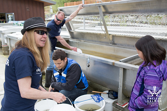 5-KANAKA CREEK- PSF-53