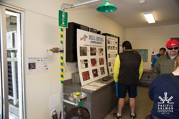 2-KANAKA CREEK- PSF-11