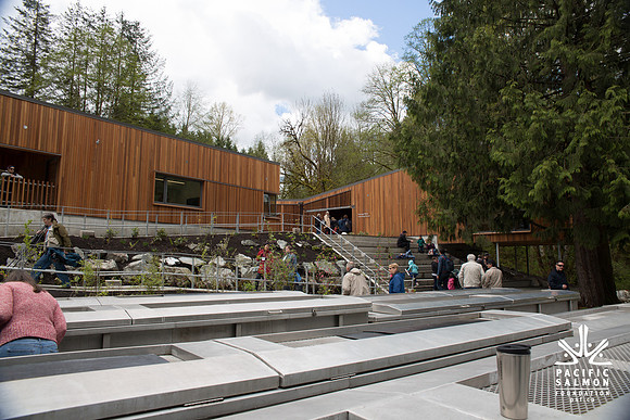 2-KANAKA CREEK- PSF-13