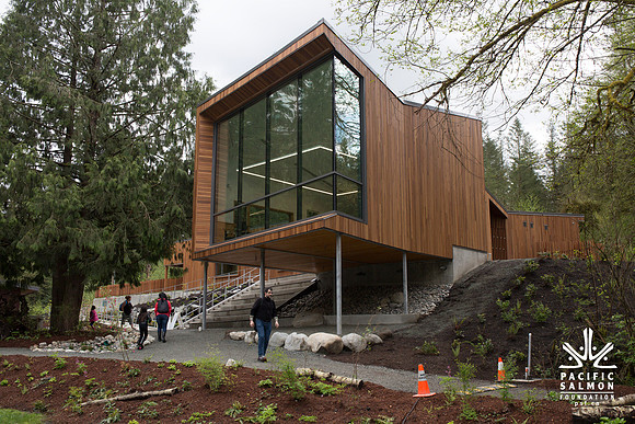 2-KANAKA CREEK- PSF-31