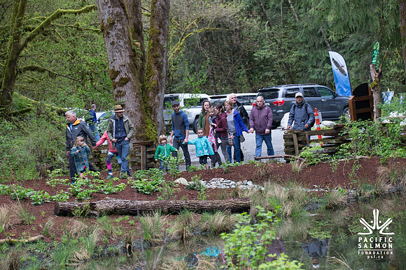 2-KANAKA CREEK- PSF-53